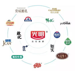 光明乳業(yè)2018半年報(bào)新鮮出爐 夯實(shí)發(fā)展基礎(chǔ)，加速全產(chǎn)業(yè)鏈整合升級(jí)